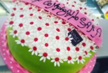 torte compleanno caffetteria vinci fasano (43)